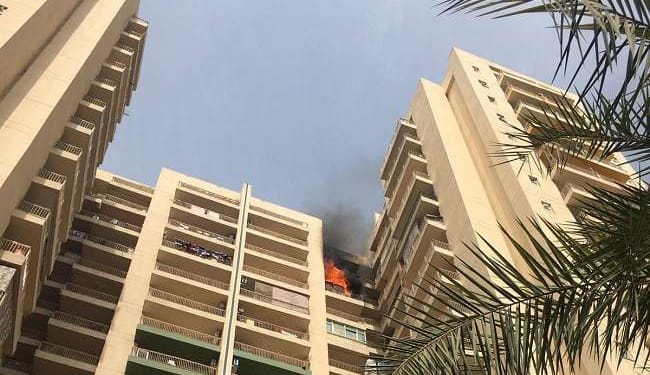 पाम ओलंपिया