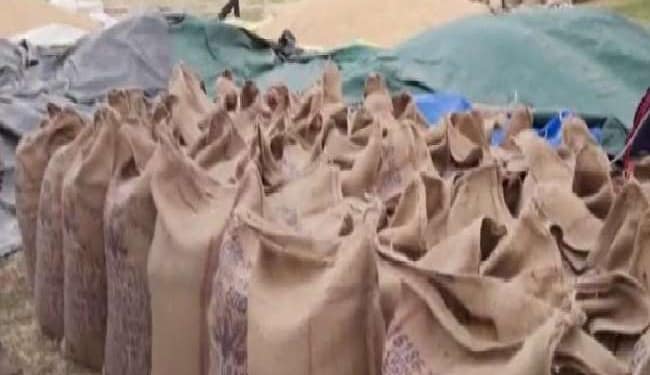 निर्यात