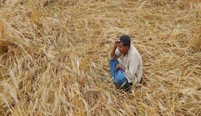 किसान क्रेडिट कार्ड