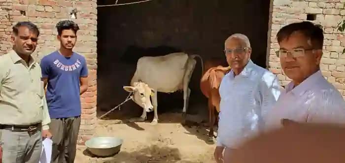 Vaccination campaign