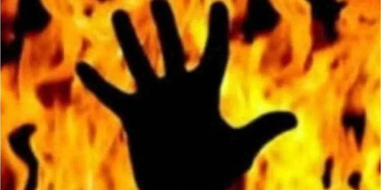 sprinkling kerosene oil