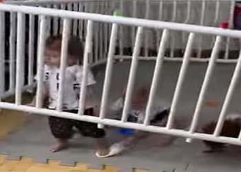 Children Break the Jail